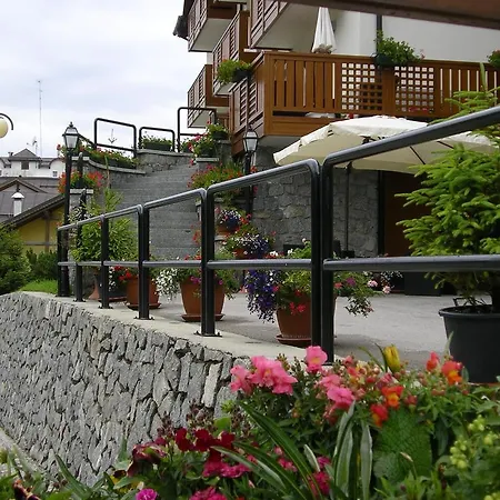 Orchidea Passo del Tonale