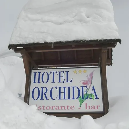 Hotel Orchidea Passo del Tonale