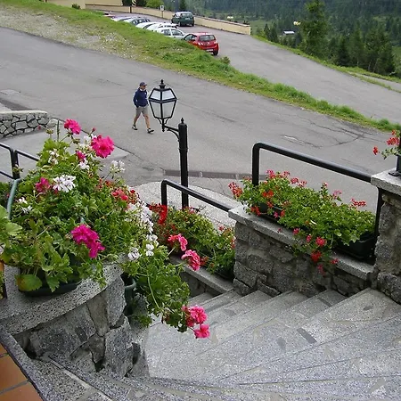 Orchidea 3* Passo del Tonale