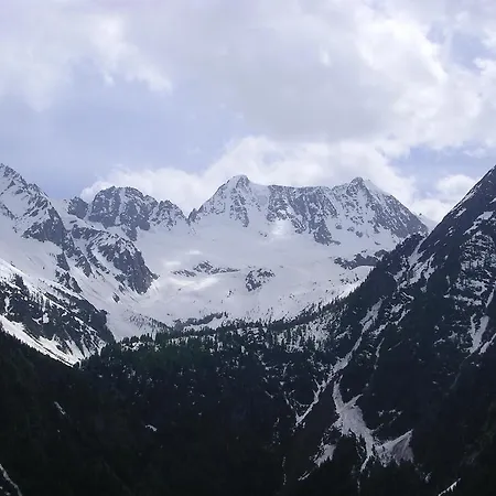 Orchidea 3* Passo del Tonale